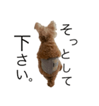 元気な仔犬あーちゃん（個別スタンプ：6）