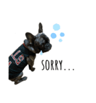 dog ぷてぃ（個別スタンプ：2）