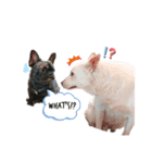 dog ぷてぃ（個別スタンプ：3）