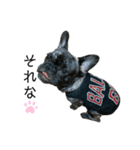 dog ぷてぃ（個別スタンプ：5）