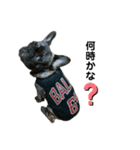 dog ぷてぃ（個別スタンプ：9）