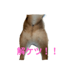 はるたろうさん再び（個別スタンプ：4）