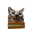 yurishi3（個別スタンプ：2）
