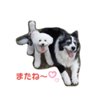 今日のももひな（個別スタンプ：3）