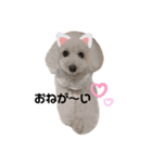 今日のももひな（個別スタンプ：6）