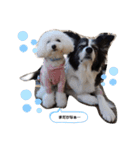 今日のももひな（個別スタンプ：7）