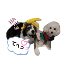 今日のももひな（個別スタンプ：14）