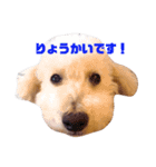 ロールナミ（個別スタンプ：2）