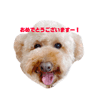 ロールナミ（個別スタンプ：5）