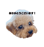 ロールナミ（個別スタンプ：7）