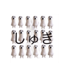 いぬのぼく。ぼっくん。（個別スタンプ：5）