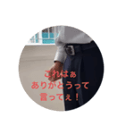 しゃべるスタンプ！！！！（個別スタンプ：7）
