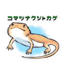 爬虫類ちゃんは懐かない（個別スタンプ：39）