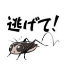 爬虫類ちゃんは懐かない（個別スタンプ：40）