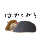 ぷちみの日々ひとこと2（個別スタンプ：40）