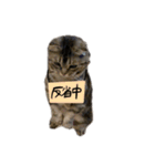 ごま(のすた)んぷ（個別スタンプ：14）