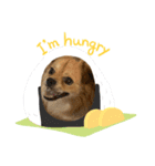 BOSS.DOG（個別スタンプ：3）