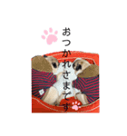 中島家のこたろうとけんたろう（個別スタンプ：4）
