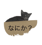 ボトム（個別スタンプ：3）