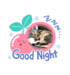 ボトム（個別スタンプ：4）