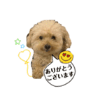 Raiくんのスタンプⅲ（個別スタンプ：2）