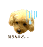Raiくんのスタンプⅲ（個別スタンプ：8）