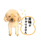 Raiくんのスタンプⅲ（個別スタンプ：9）