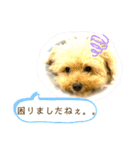 Raiくんのスタンプⅲ（個別スタンプ：10）