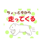 【筋トレ】しろくま（個別スタンプ：1）