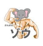 かわいいw動物スタンプ（個別スタンプ：9）