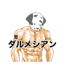 かわいいw動物スタンプ（個別スタンプ：17）