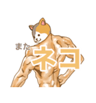 かわいいw動物スタンプ（個別スタンプ：31）