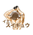 かわいいw動物スタンプ（個別スタンプ：37）