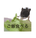 すーくんの日常。。（個別スタンプ：2）