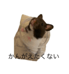 すーくんの日常。。（個別スタンプ：7）