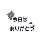 でか文字・ていねい語とねこ（個別スタンプ：11）