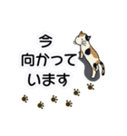 でか文字・ていねい語とねこ（個別スタンプ：22）