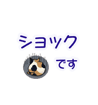 でか文字・ていねい語とねこ（個別スタンプ：31）