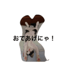 にゃんこオールスターズ（個別スタンプ：6）