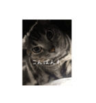 ビビちゃんのたわいもない一言（個別スタンプ：4）