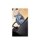 ビビちゃんのたわいもない一言（個別スタンプ：6）