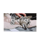 ビビちゃんのたわいもない一言（個別スタンプ：8）