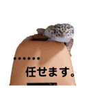 レオパのほむらさん2。（個別スタンプ：19）