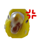 ひまぴー( 'Θ' )（個別スタンプ：5）