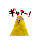 ひまぴー( 'Θ' )（個別スタンプ：9）