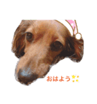 chocoちゃんのぼやき（個別スタンプ：2）