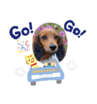chocoちゃんのぼやき（個別スタンプ：9）