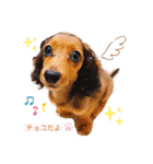 chocoちゃんのぼやき（個別スタンプ：10）
