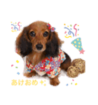 chocoちゃんのぼやき（個別スタンプ：16）