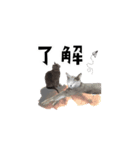 愛しのミーシャとマリン（個別スタンプ：7）